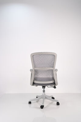 Manager Staff Chair Low Back Mesh Office Chair Ergonomic Revolving Comfortable