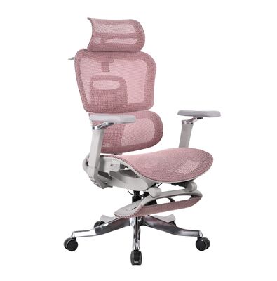 Good price Boss Nylon High Back Ergonomic Mesh Office Chair Height Adjustable With 5D Armrest online
