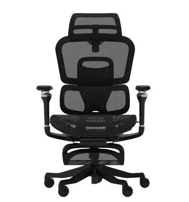 Good price CEO 6D Armrest Ergonomic High Back Office Chair With Full Mesh online