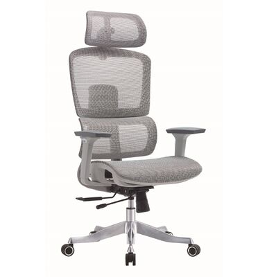 Guter Preis Vollnetz-Chefsessel ergonomisch, Rückenlehne mit 3-Stufen-Neigung verstellbar Online