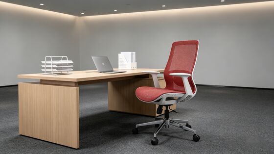 Modern Ergonomic Office Chair for Remote Work