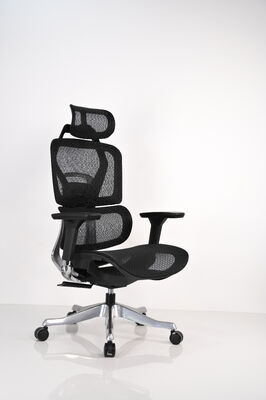 Good price Ergonomic Mesh Office Chair with Lumbar Support online