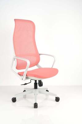 Affordable ergonomic office chair