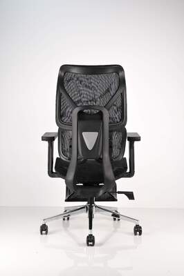 Good price Affordable Ergonomic Office Chair with 2-Part Lumbar Support 4D Adjustable Armrest and PU Nylon Castors online