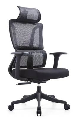 Bon prix Chaise de bureau ergonomique avec support lombaire, garantie incluse en ligne